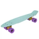 Пенні Борд Fish Skateboards penny board Pastel Мятний 57 см пенни борд (FP1) - зображення 2