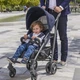 Прогулочная коляска Chicco Lite Way 3 Top Intrigue (79599.03) - изображение 9