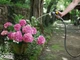 Шланг Karcher Performance Premium 20 м 1/2" (2.645-324.0) - изображение 6