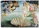 Скетчбук Manuscript Botticelli 1486 A5 Чистые 80 страниц с открытым переплетом (M - Botticelli1486) - изображение 4