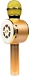 Микрофон Optima Wster MK-4 Gold (WS-MK-4-GD) - изображение 3