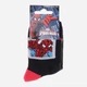 Дитячі шкарпетки бавовняні Disney Spiderman 43890147-2 19-22 Чорні (3349610003498) - зображення 2