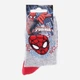Дитячі шкарпетки бавовняні Disney Spiderman 43890147-3 19-22 Сірі (3349610003511) - зображення 2