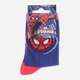 Дитячі шкарпетки бавовняні для хлопчиків Disney Spiderman 43890147-8 19-22 Сині (3349610003610) - зображення 2