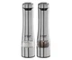 Подрібнювач Russell Hobbs 23460-56 - зображення 1