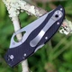 Ніж Spyderco Byrd Harrier BY01GP2 - зображення 4