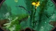 Ключ активации Subnautica (Сабнатика) для Xbox One/Series - изображение 11