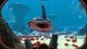 Ключ активации Subnautica (Сабнатика) для Xbox One/Series - изображение 12