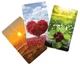 Карты Ленорман Denise Sunlight series колода 36 карт - изображение 1