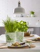 Кашпо для квітів Scheurich Herbs Farmers Білий із салатовим 11.8 х 13.7 см (4002477604558) - зображення 5