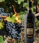 Вино Trambusti Brunello Di Montalcino DOCG червоне сухе 0.75 л 14.5% (80455011) - зображення 2