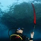 Буй для дайвинга Mares Diver Alert Marker (415743) - изображение 2