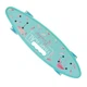 Пенниборд (Penny Board) SL-AS(108), дека с ручкой, колеса светящиеся (фламинго) - изображение 1