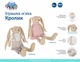 Игрушка мягкая Canpol Babies Кролик Бежевый (80/200_bei) - изображение 3