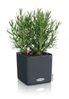 Розумне кашпо Lechuza Cube Color 14 квадратний 14 x 14 x 14 см, Колір Сірий - зображення 7