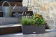 Умный горшок Lechuza Balconera Cottage 50 прямоугольный 8 л 19 x 50 x 19 см Гранит - изображение 9