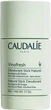 Натуральний дезодорант Caudalie Vinofresh Евкаліпт-Виноград 50 г (3522930003304) - зображення 1
