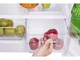 Холодильник Indesit TIAA 16 (UA) - зображення 7