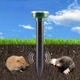 Отпугиватель кротов на солнечной батарее ультразвуковой для газона, сада и огорода, 1 шт - изображение 2