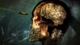 Ключ активации Zombie Army 4: Dead War для Xbox One/Series - изображение 6