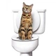 Туалет для котов и кошек CitiKitty Toilette Training Kit кошачий туалет-лоток для приучения к унитазу - изображение 2