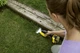 Акумуляторні ножиці для трави Karcher GSH 18-20 BATTERY - (Без акумулятора та зарядного пристрою) (1.444-200.0) - зображення 5