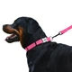 Ошейник Для Собак BronzeDog Active Нейлоновый со Светоотражением и Металлической Пряжкой с Гравировкой Розовый 25 мм 35-53 см (34/1306) - изображение 4