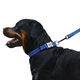 Ошейник Для Собак BronzeDog Active Нейлоновый со Светоотражением и Металлической Пряжкой с Гравировкой Синий 25 мм 35-53 см (34/1302) - изображение 4