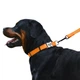Нашийник Для Собак BronzeDog Active Нейлоновий зі Світловідбиттям та Металевою Пряжкою з Гравіруванням Помаранчевий 25 мм 35-53 см (34/1304) - зображення 4
