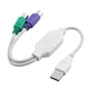 Перехідник Ewell USB2.0 to PS/2, кабель 0,3 м, (EW097) - зображення 1