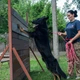 Поводок для Собак Bronzedog Active из Шнура Тренировочный Розовый 7 мм 1000 см (47357) - изображение 10