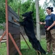 Поводок для Собак Bronzedog Active из Шнура Тренировочный Черный 7 мм 1000 см (47351) - изображение 10