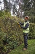 Кущоріз акумуляторний DeWalt DCMHT563P1 - зображення 7