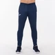 Штаны спортивные Joma CHAMPION IV сине-белые M 100761.302 - изображение 2