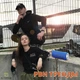 Колонка Hopestar H39 Світло Синя бездротова портативна акустична блютуз система з PowerBank FM micro SD - зображення 11