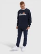 Свитшот мужской Ellesse Sl Succiso Sweatshirt SHC07930-429 XL Темно-синий (5057677822225) - изображение 3