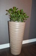 Горщик для квітів Form-Plastic Sahara Slim-35 бежевий зі вставкою (2790-051) - зображення 3