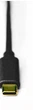 USB-кабель DJ Techtools Chroma Cables: USB-C Black (Type-C to USB-B) - изображение 2