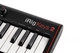 MIDI-клавиатура IK Multimedia iRig Keys 2 - изображение 5