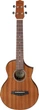 Укулеле IBANEZ UEWT5 OPN 82101 - зображення 1