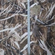 Тентовая ткань оксфорд Super Textiles камуфляж "Осенний камыш" 200D, ш. 150 см, пог.м. (2033) - изображение 2