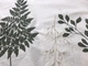Комплект постельного белья "Папоротник"" CottonTwill 1-спальный 150х220 см Турецкий Ранфорс (ДР054-2) - изображение 3