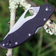 Ніж складаний Spyderco Byrd Harrier 2 (довжина: 193мм, лезо: 84 мм), чорний - зображення 4