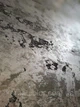 ILLUSION ALUMINIUM (Ілюзіон) 1кг. Декоративне покриття. База Алюміній. Ельф-Декор - изображение 3