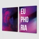 Модульная картина из двух частей Euphoria 153x100 см (MK21214) - изображение 3