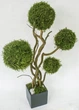 Дерево, топиарий Artis Green из лесного мха 60 cm T12 - изображение 2