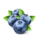 Ягодная паста LiQberry Черника 0.545 л - изображение 2