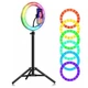 Кільцева LED лампа 4 в 1 RGB 26 см 25 W з пультом, з тримачем для телефону селфі кільце для блогера зі Штативом 210 см - зображення 1