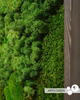 Фото Artis Green в темній рамці з мохом Forest colors-2 P27 - зображення 2