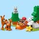 Конструктор LEGO DUPLO Животные мира 121 деталь (10907) - изображение 10
